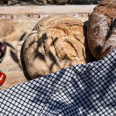 Verina Astra Artemonas